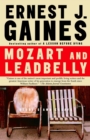 Image for Mozart and Leadbelly: stories and essays