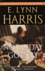 Image for Not a Day Goes By: A Novel