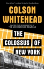 Image for The colossus of New York: a city in thirteen parts