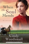 Image for When the Soul Mends: Book 3 in the Sisters of the Quilt Amish Series