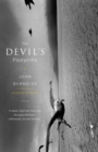 Image for The devil&#39;s footprints: a romance