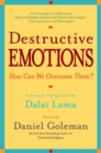 Image for Destructive emotions: and how we can overcome them : a dialogue with the Dalai Lama