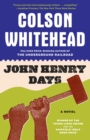 Image for John Henry days: a novel