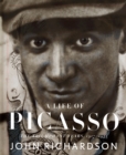 Image for A life of Picasso.: (1907-1917)