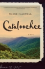 Image for Cataloochee: A Novel