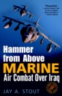 Image for Hammer from above: marine air combat over Iraq