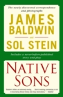 Image for Native Sons