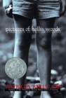 Image for Pictures of Hollis Woods