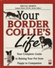 Image for Your Border Collie&#39;s Life: Your Complete Guide to Raising Your Pet from Puppy to Companion