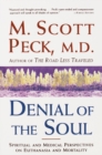 Image for Denial of the Soul: Spiritual and Medical Perspectives on Euthanasia and Mortality