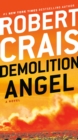 Image for Demolition angel