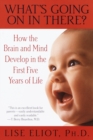Image for What&#39;s going on in there?: how the brain and mind develop in the first five years of life