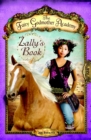 Image for Fairy Godmother Academy #3: Zally&#39;s Book