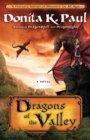 Image for Dragons of the Valley: A Novel