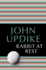Image for Rabbit at Rest
