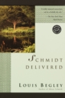Image for Schmidt Delivered