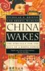 Image for China wakes: the struggle for the soul of a rising power