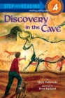 Image for Discovery in the cave
