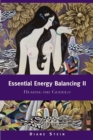 Image for Essential Energy Balancing II: Healing the Goddess