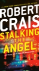 Image for Stalking the angel
