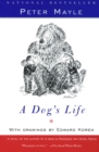 Image for A dog&#39;s life