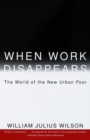Image for When work disappears: the world of the new urban poor