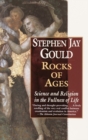 Image for Rocks of ages: science and religion in the fullness of life