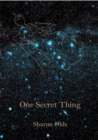 Image for One Secret Thing