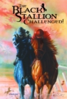Image for The black stallion challenged!