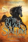 Image for The black stallion returns: a storybook based on the movie