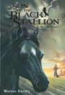 Image for Son of the black stallion