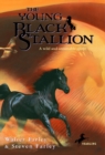 Image for The young black stallion