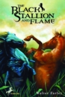 Image for Black Stallion and Flame