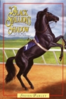 Image for The black stallion&#39;s shadow