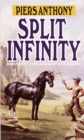 Image for Split Infinity
