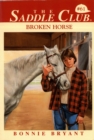 Image for Broken horse