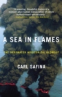 Image for A sea in flames  : the Deepwater Horizon oil blowout