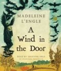 Image for A Wind in the Door