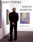 Image for Always Looking: Essays on Art