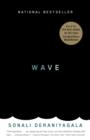 Image for The wave: in pursuit of the oceans&#39; greatest furies