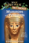 Image for Mummies in the morning