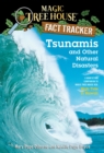 Image for Tsunamis and other natural disasters: a nonfiction companion to Hige tide in Hawaii