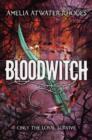 Image for Bloodwitch : volume 1