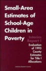 Image for Small-Area Estimates of School-Age Children in Poverty