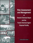 Image for Risk Assessment and Management at Deseret Chemical Depot and the Tooele Chemical Agent Disposal Facility