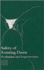 Image for Safety of Existing Dams