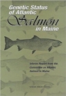 Image for Genetic Status of Atlantic Salmon in Maine : Interim Report