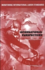Image for Monitoring International Labor Standards : International Perspectives: Summary of Regional Forums