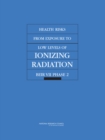 Image for Health Risks from Exposure to Low Levels of Ionizing Radiation