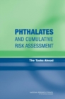 Image for Phthalates and Cumulative Risk Assessment : The Tasks Ahead